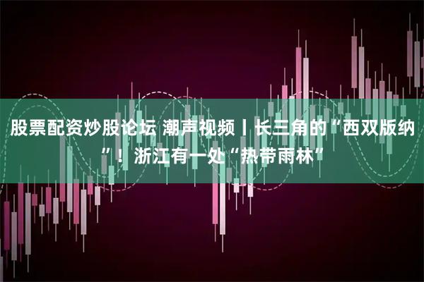 股票配资炒股论坛 潮声视频丨长三角的“西双版纳”！浙江有一处“热带雨林”