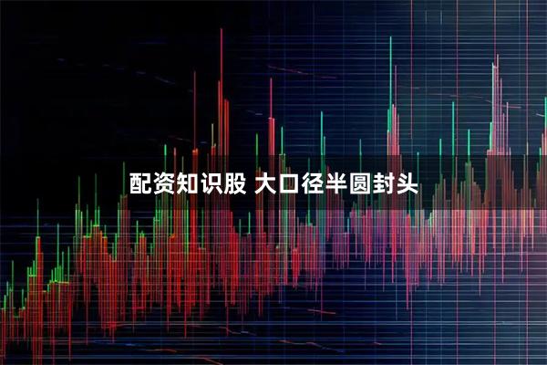配资知识股 大口径半圆封头